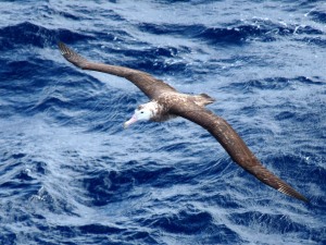 Barca mare riti scaramantici superstizioni