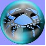 Oroscopo, cancro, caratteristiche segno, segni zodiacali, affinità, affinita, amore, fortuna, denaro, salute, lettera ebraica