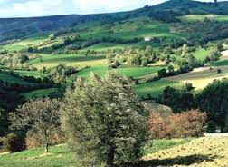 pesaro campagna, casa, pesaro, fantasma, mistero, casa infestata