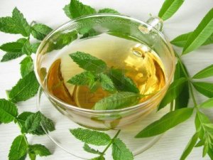 verbena0