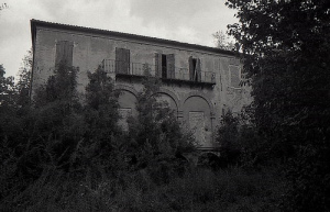 fantasma del violinista presenze infestazioni  violino